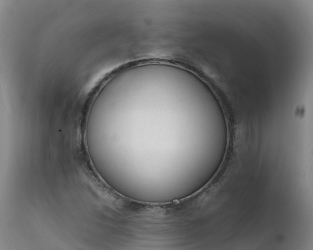 X0000111251214200907091415