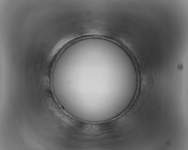 X0000111251215200907091415