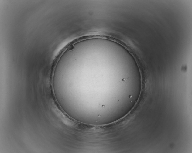 X0000111251216200907091415