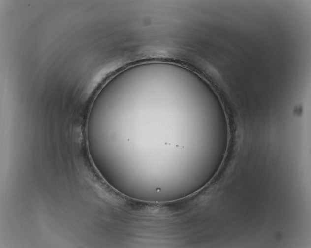 X0000111251218200907091415