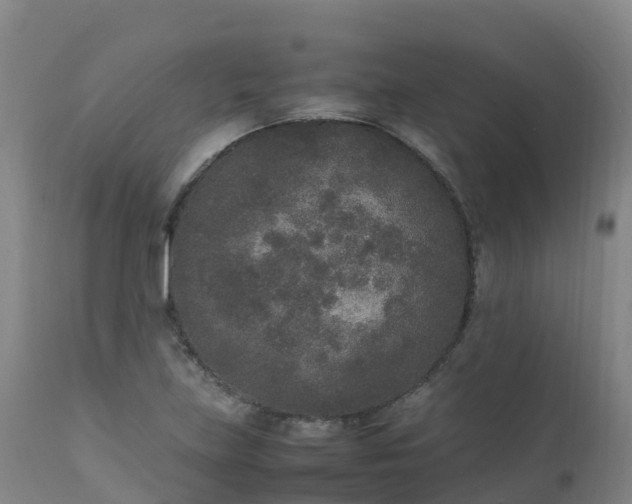 X0000111251219200907091415