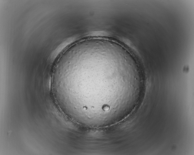 X0000111251221200907091415