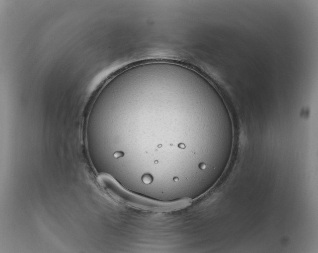 X0000111251222200907091415