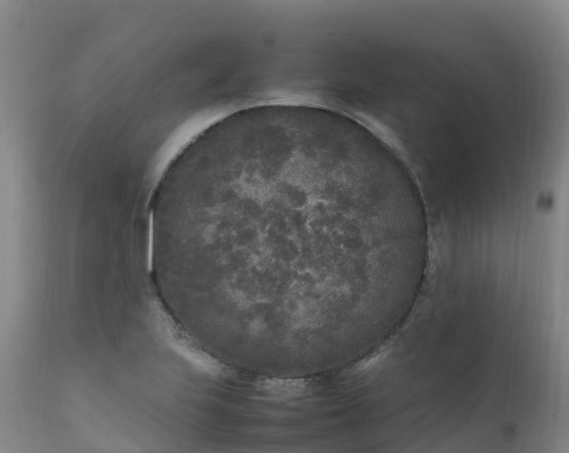 X0000111251223200907091416