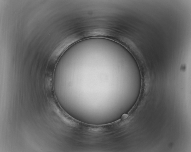 X0000111251225200907091416