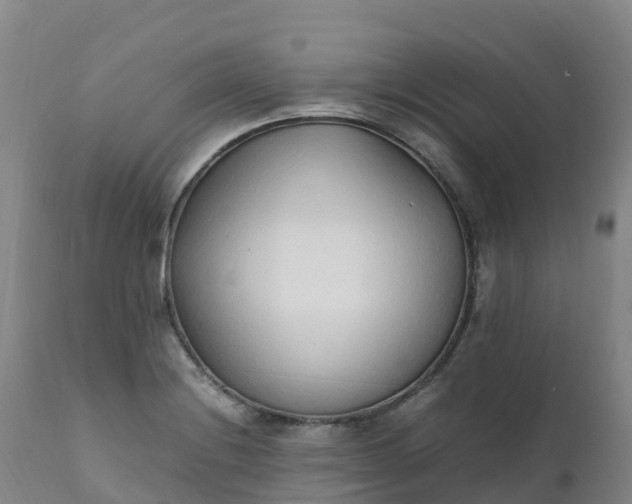 X0000111251228200907091416