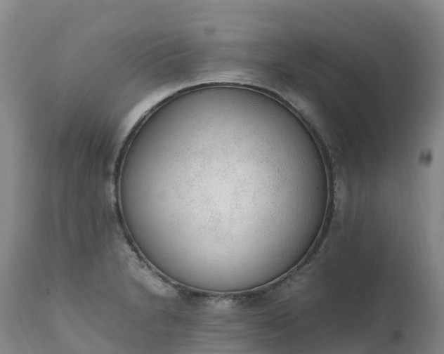 X0000111251230200907091416