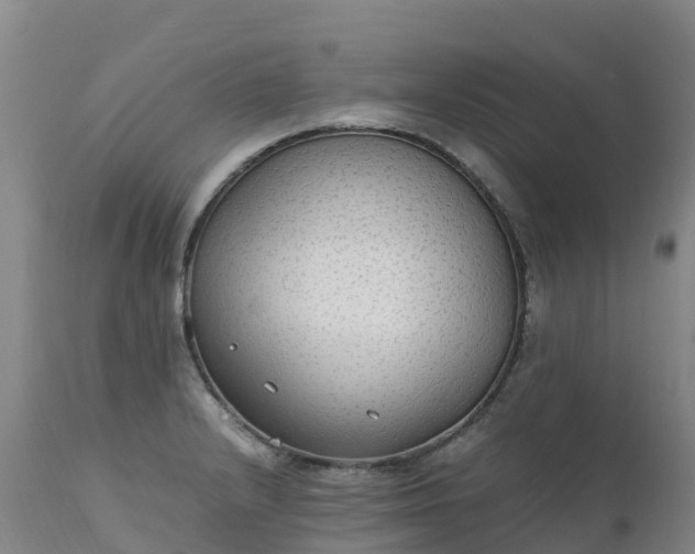 X0000111251232200907091416