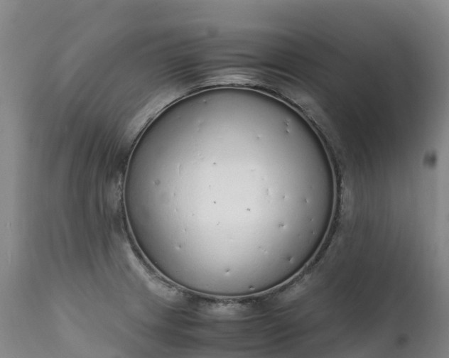 X0000111251233200907091416