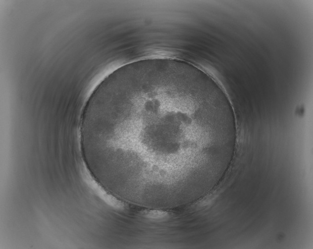 X0000111251235200907091416