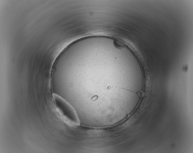 X0000111251236200907091416