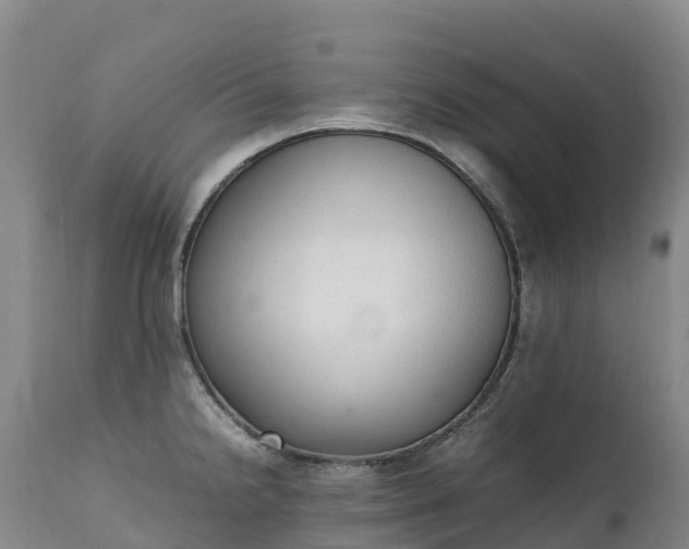 X0000111251238200907091416