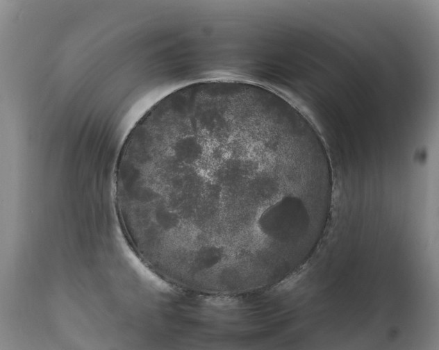 X0000111251239200907091416