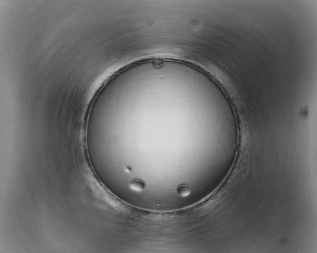 X0000111251240200907091416