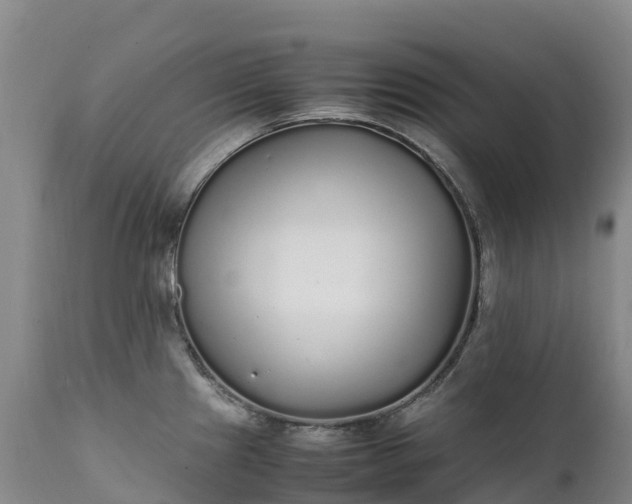 X0000111251241200907091416