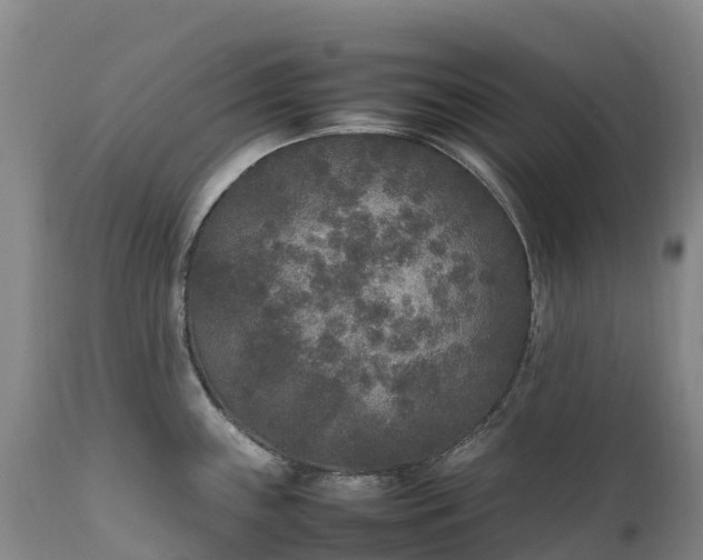 X0000111251243200907091416