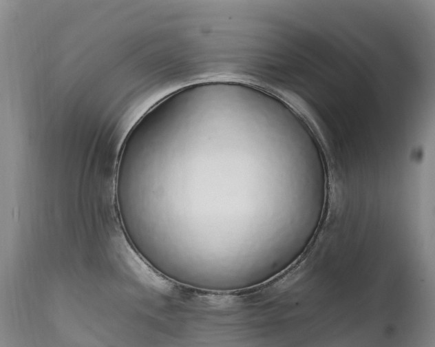 X0000111251244200907091416