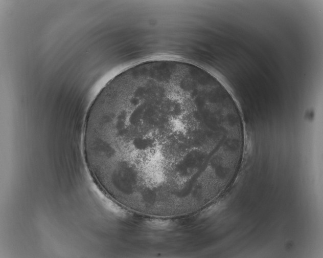 X0000111251245200907091416