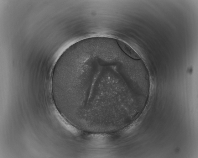 X0000111251246200907091416