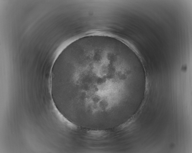 X0000111251247200907091416