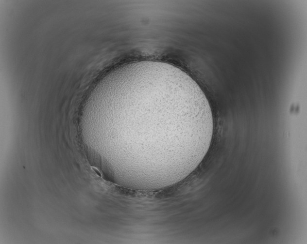 X0000111251249200907091415