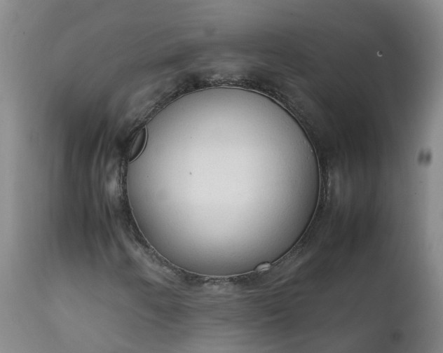 X0000111251250200907091415