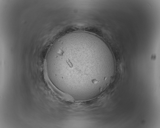 X0000111251253200907091415