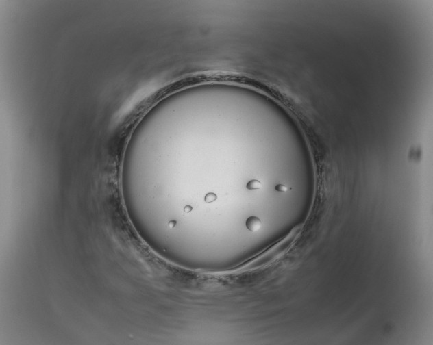 X0000111251255200907091415