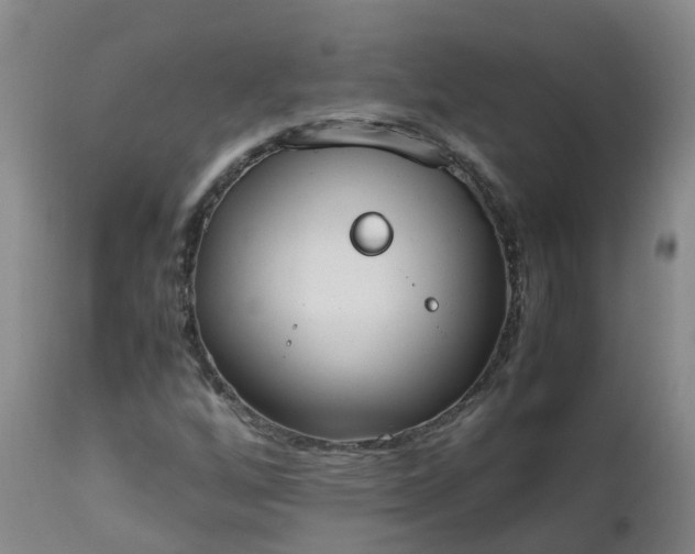 X0000111251256200907091415