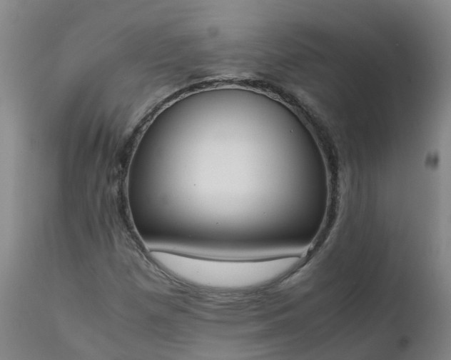 X0000111251257200907091415