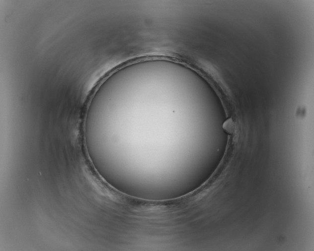 X0000111251260200907091415