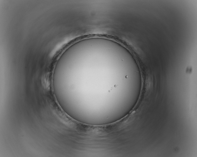 X0000111251262200907091415