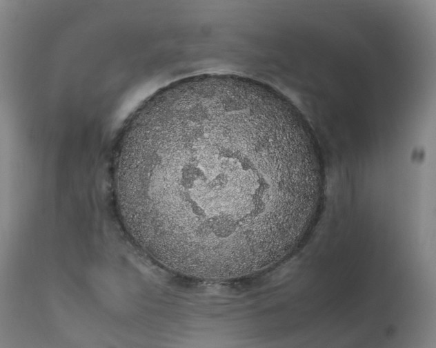 X0000111251263200907091415