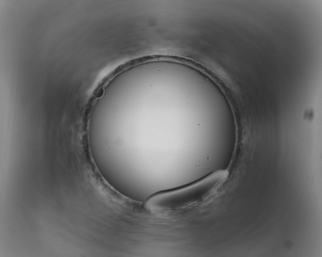 X0000111251264200907091415