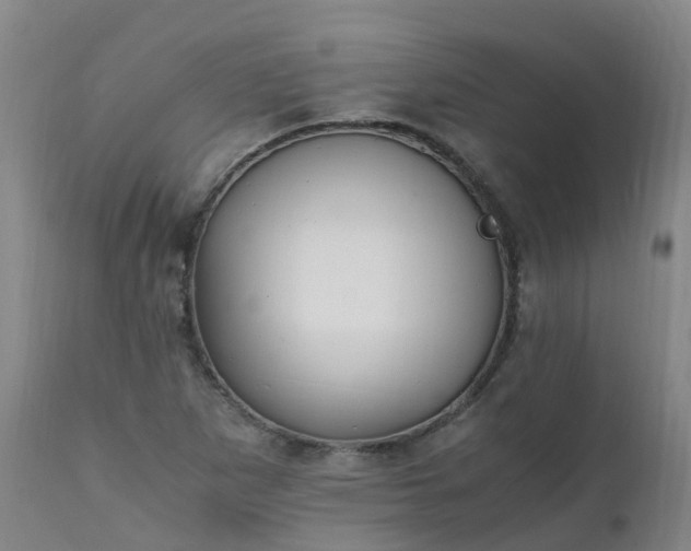 X0000111251265200907091415