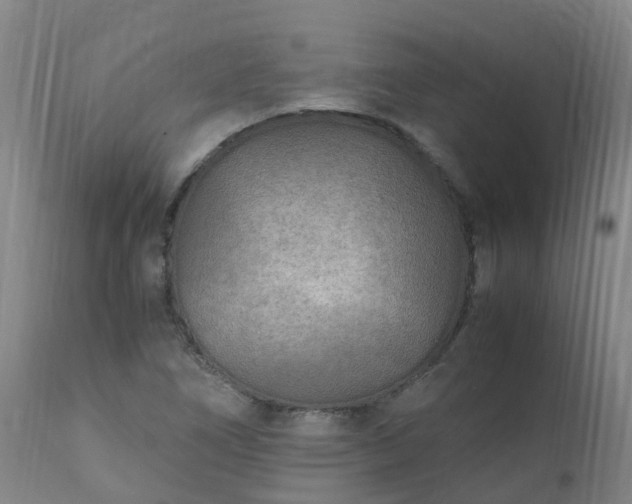 X0000111251266200907091415