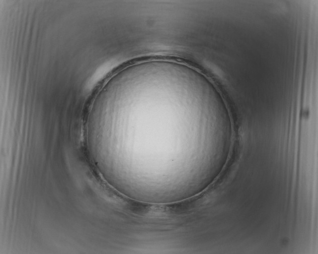 X0000111251267200907091415