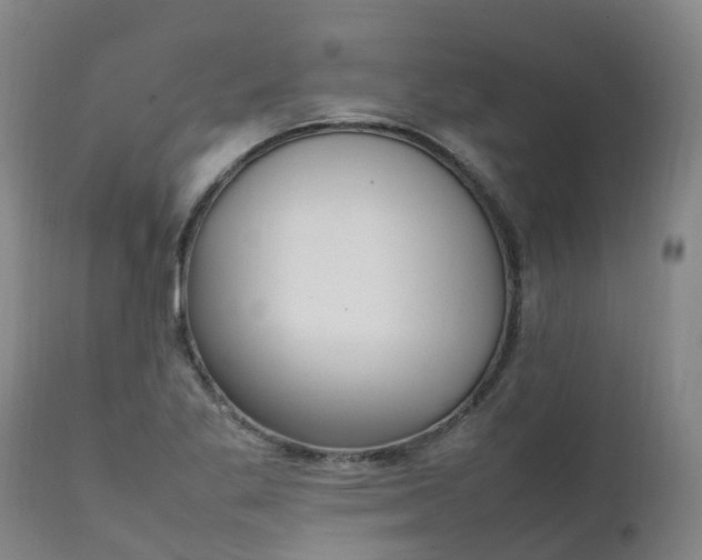 X0000111251269200907091415