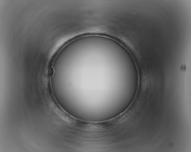 X0000111251270200907091415