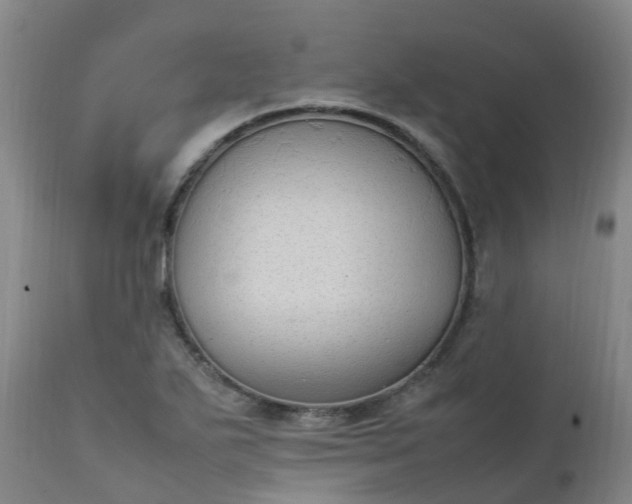 X0000111251271200907091415