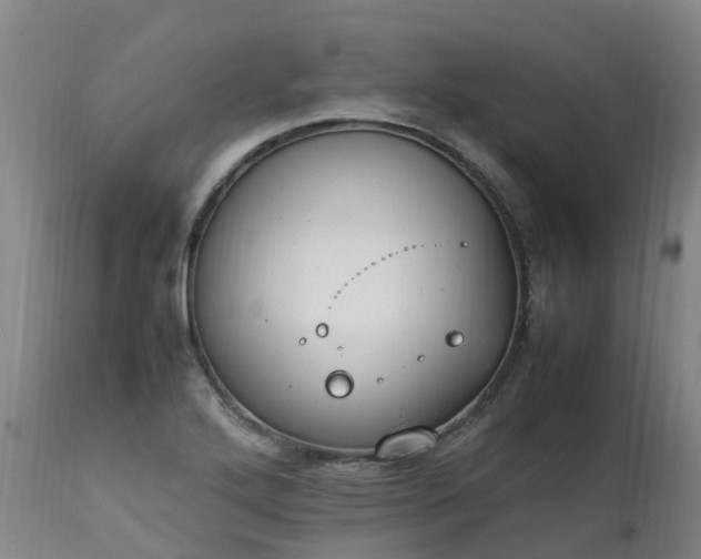 X0000111251272200907091415