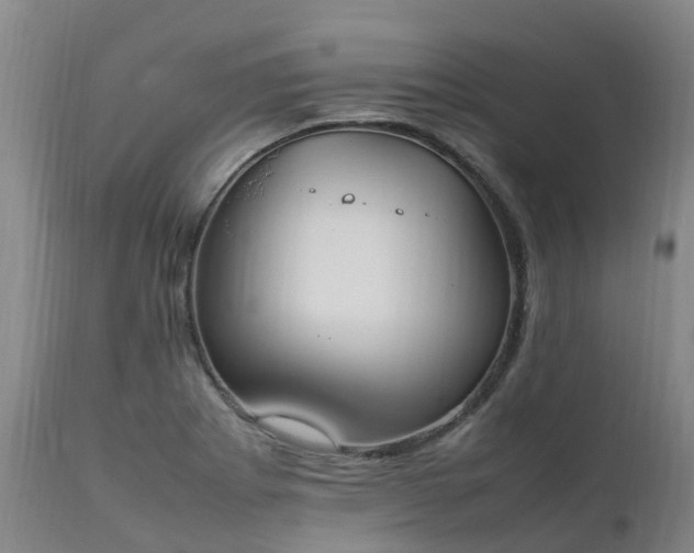 X0000111251273200907091415