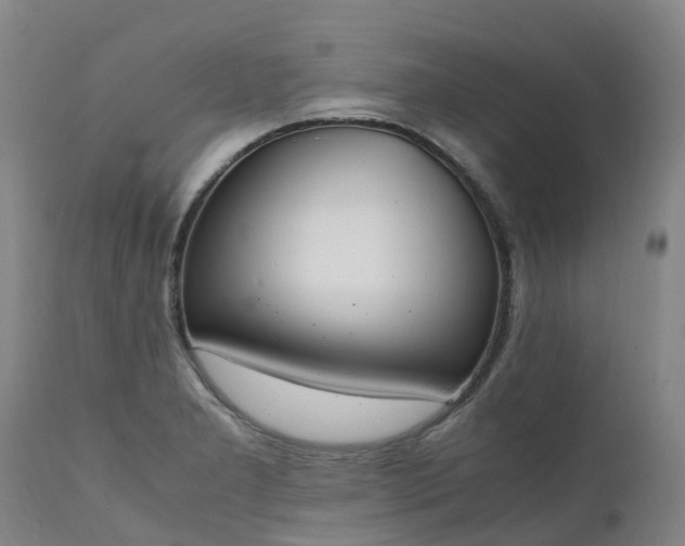 X0000111251277200907091415