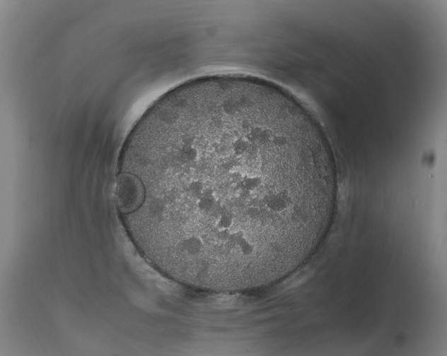 X0000111251279200907091415