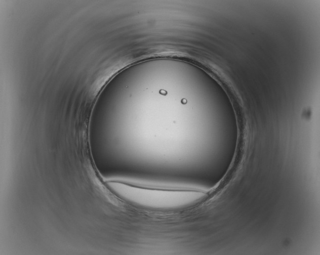 X0000111251281200907091415