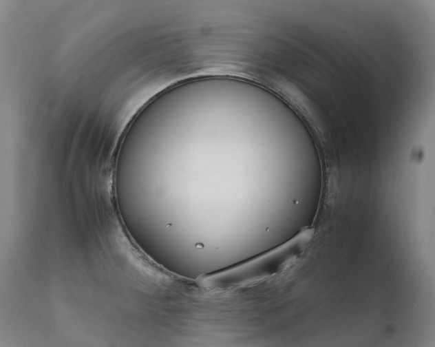 X0000111251284200907091415