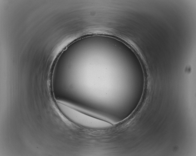 X0000111251285200907091415