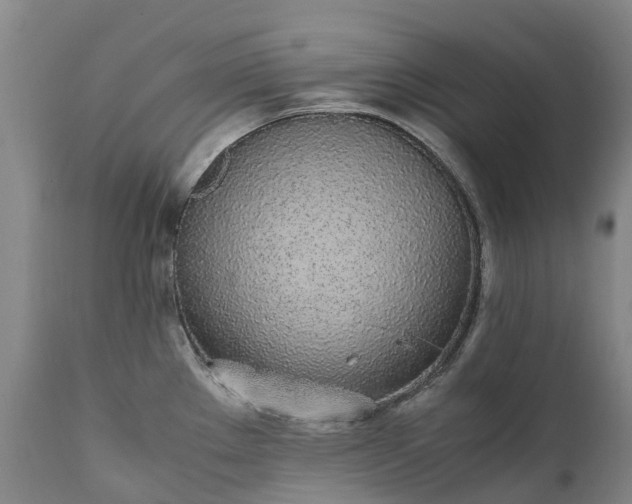 X0000111251289200907091414