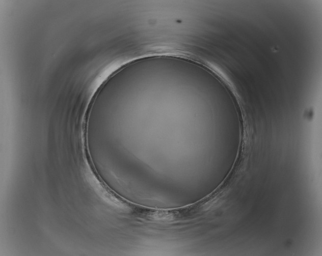 X0000111251291200907091414