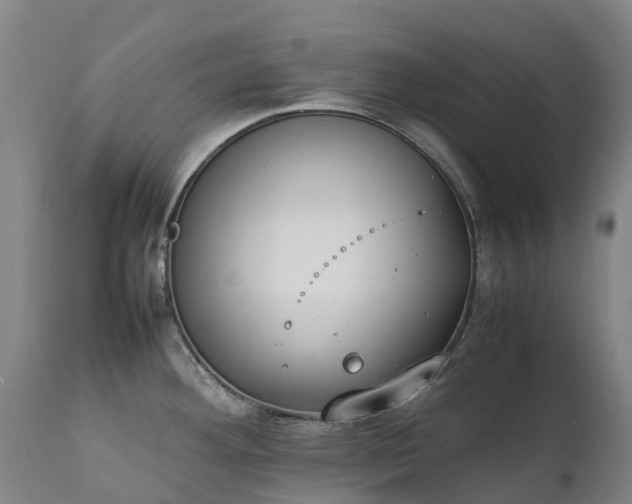 X0000111251292200907091414